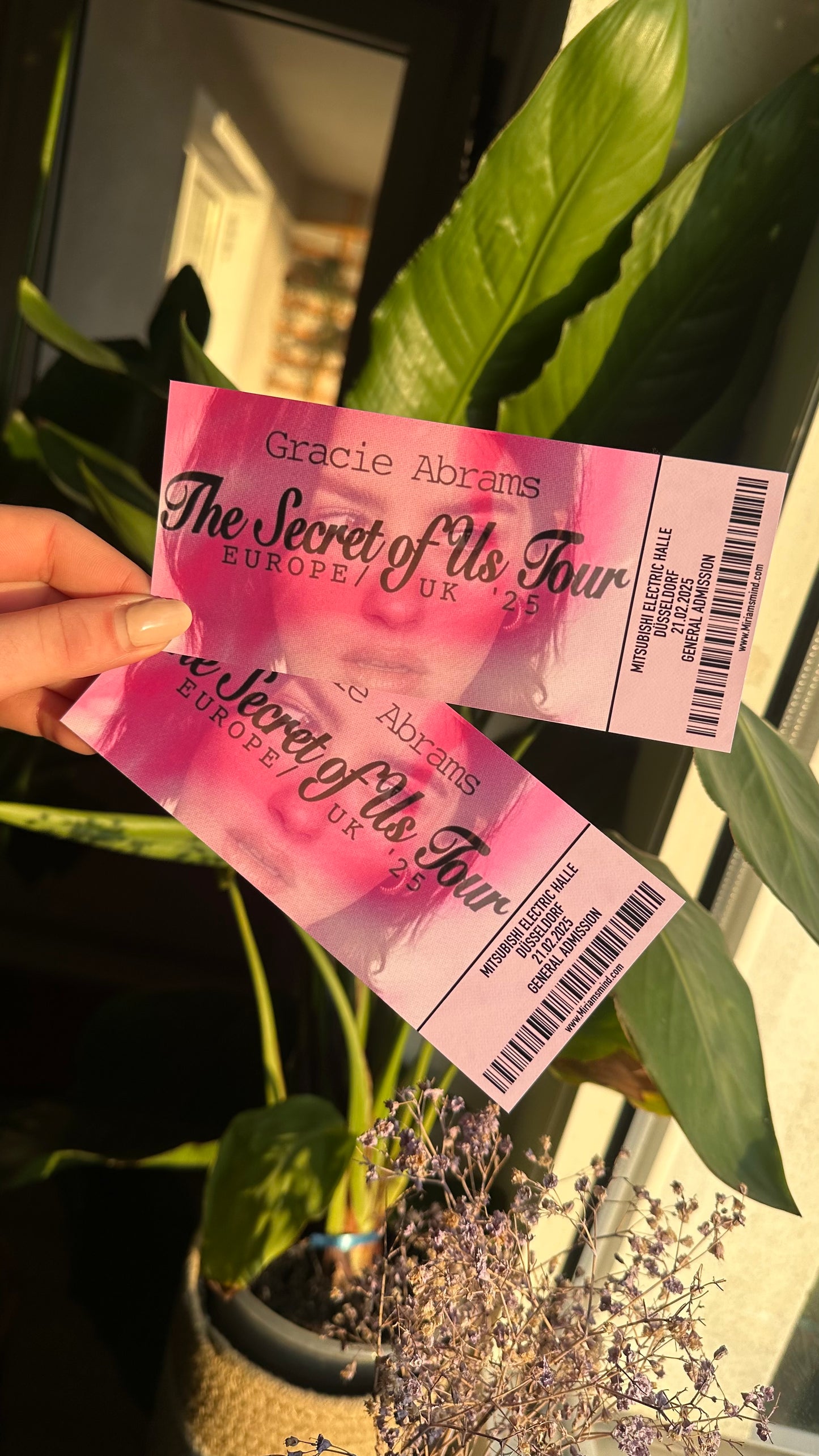 gracie tsou tour ticket