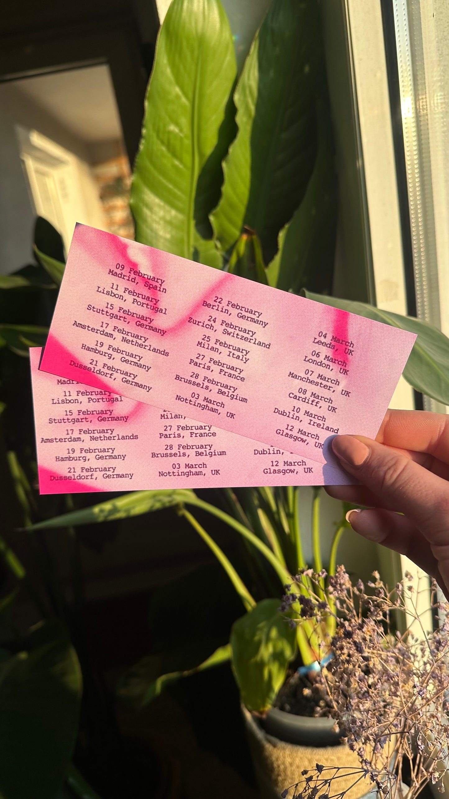 gracie tsou tour ticket