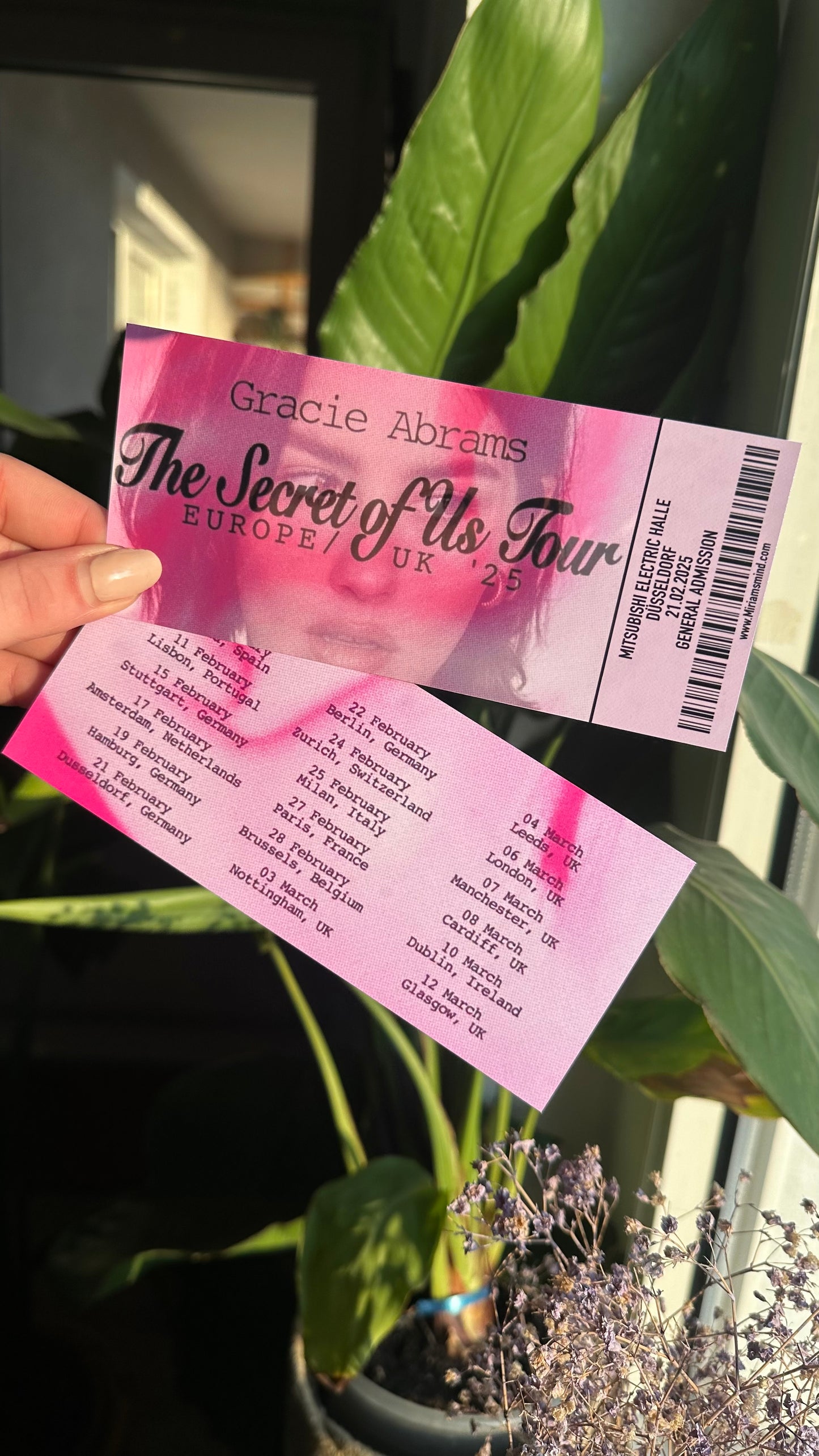 gracie tsou tour ticket