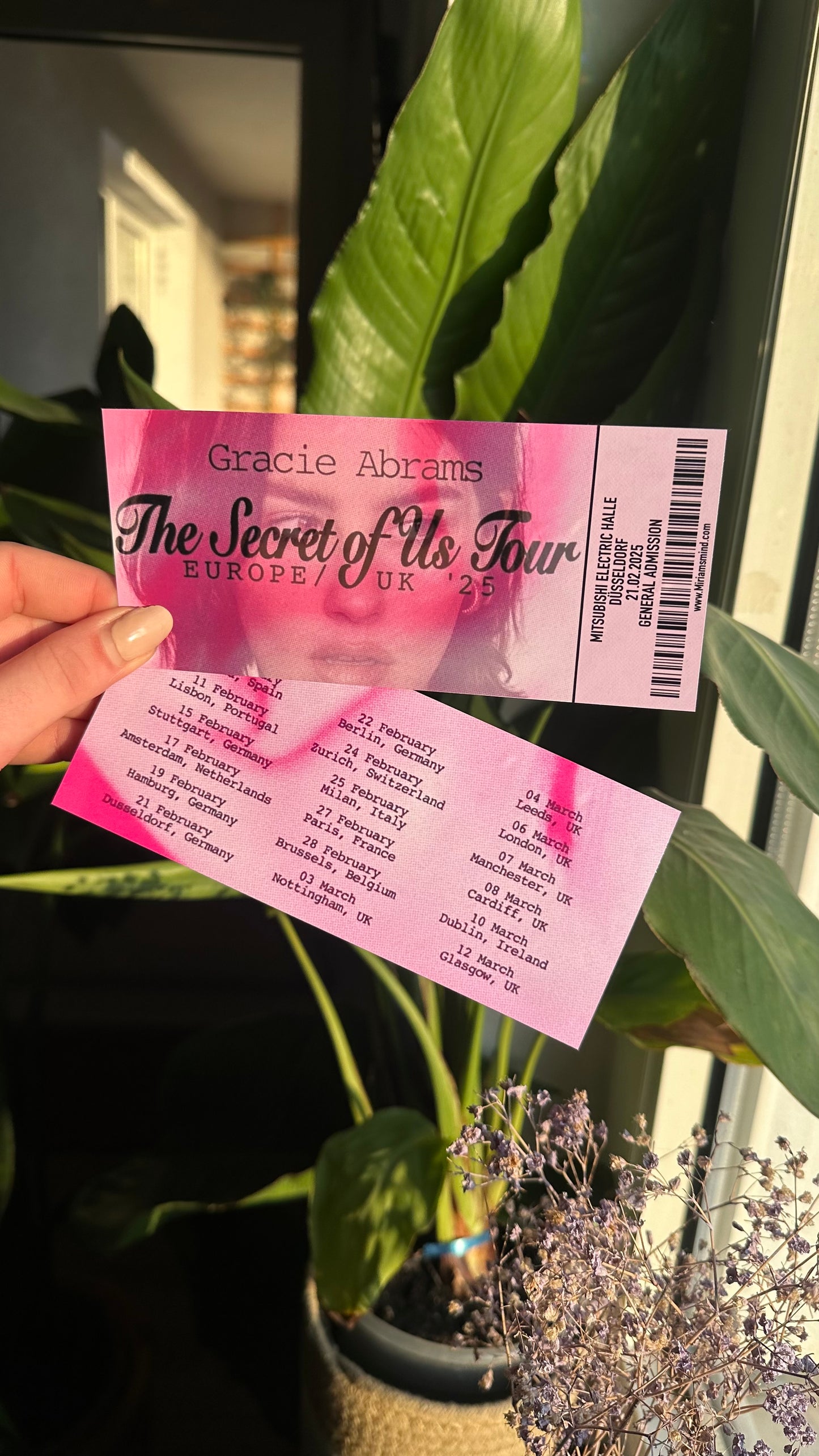 gracie tsou tour ticket