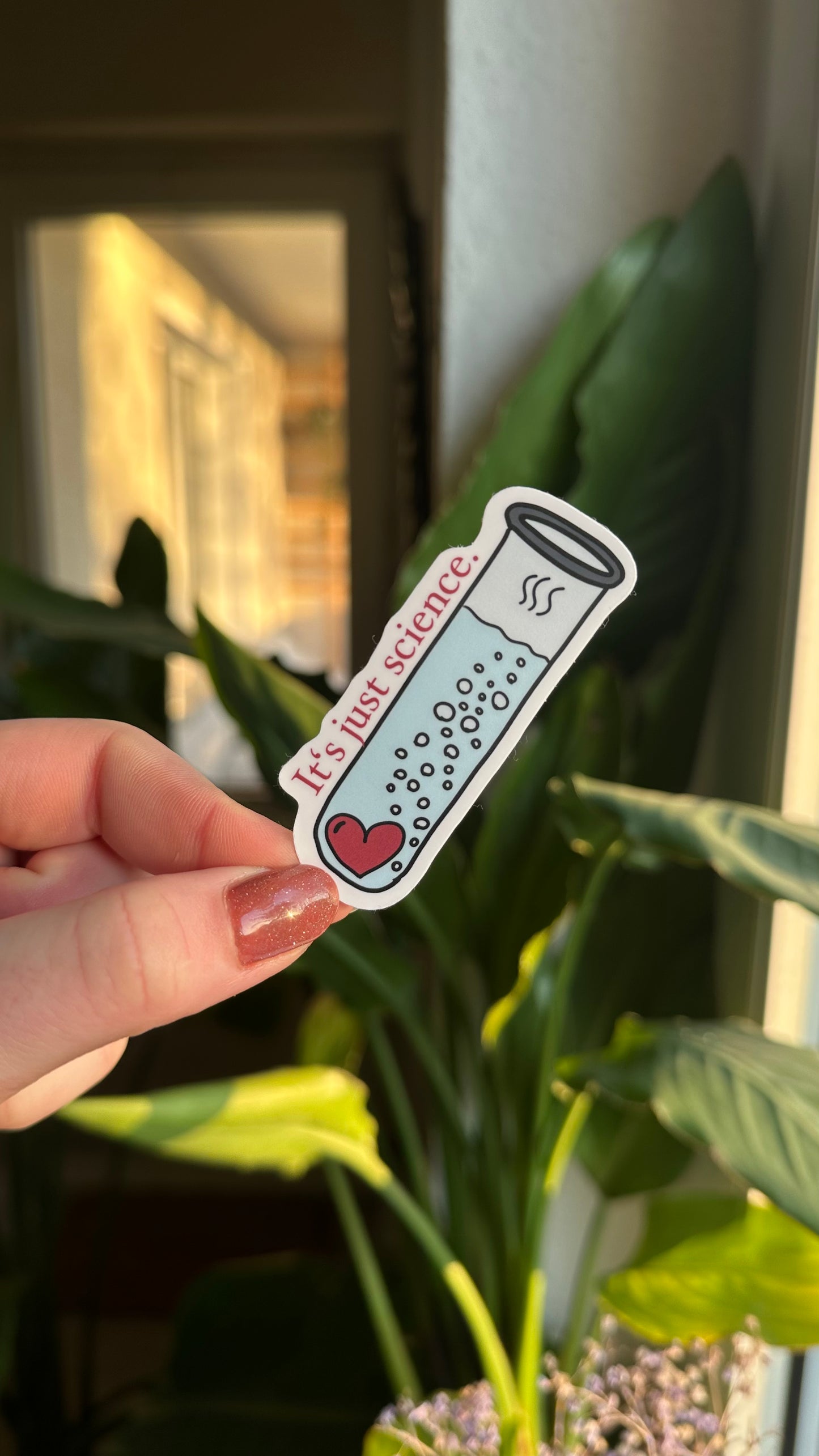 nh the show waterproof stickers