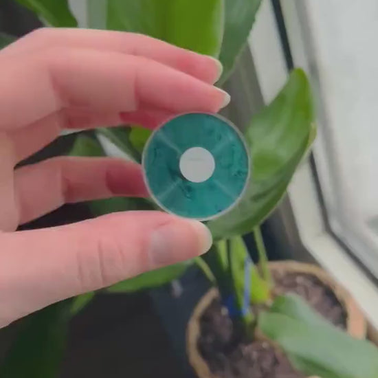 Midnight Vinyl PIN Jade Green