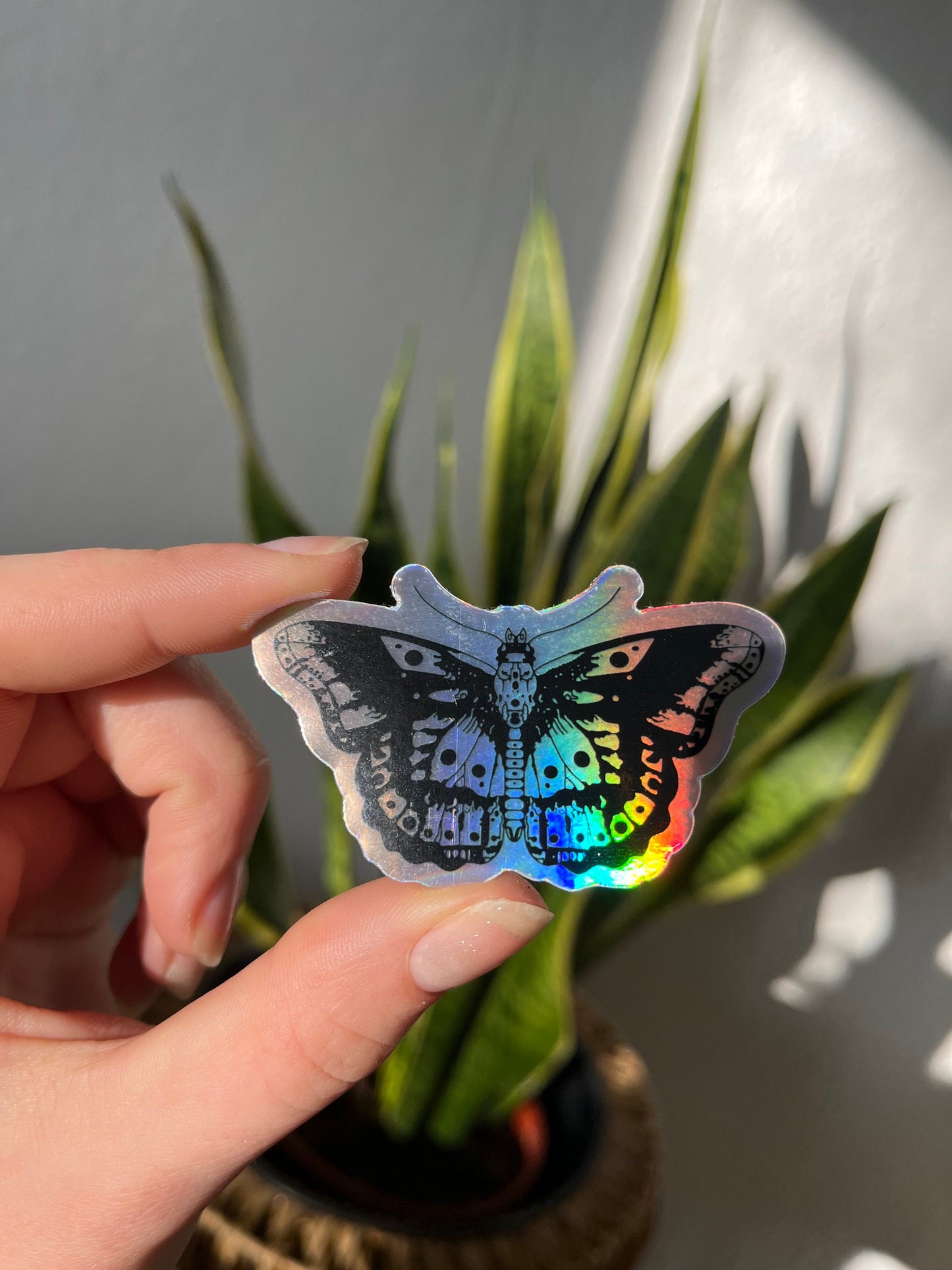 Waterproof holographic Sticker