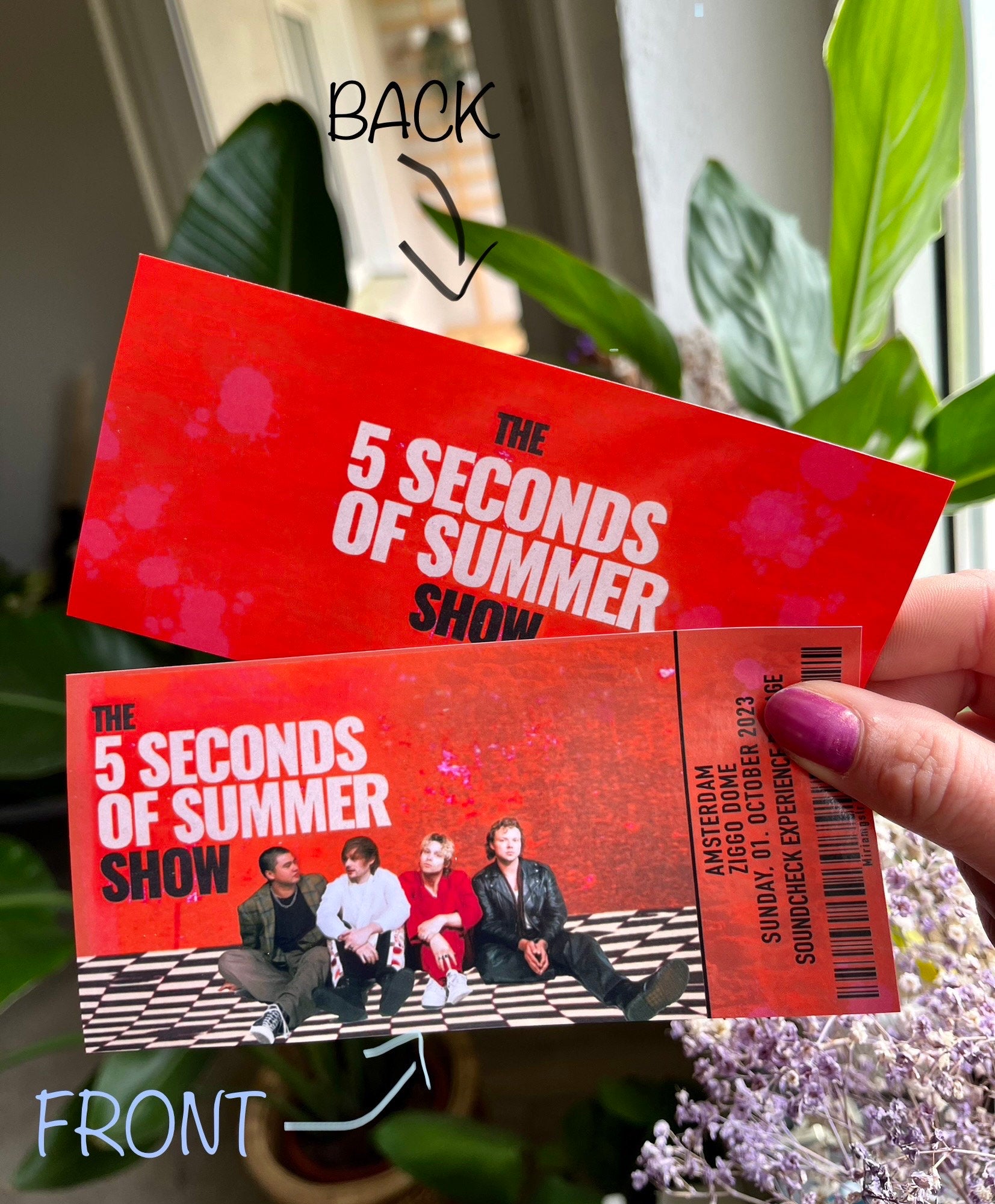 5sos Show Tour 2023 Ticket personalisierbar