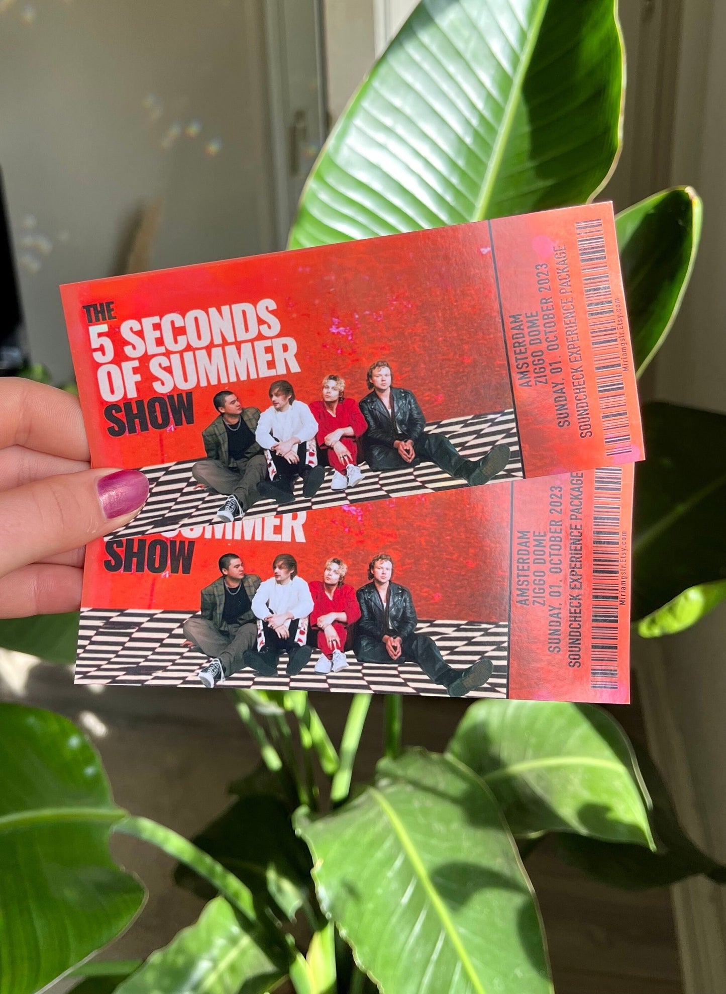 5sos Show Tour 2023 Ticket personalisierbar