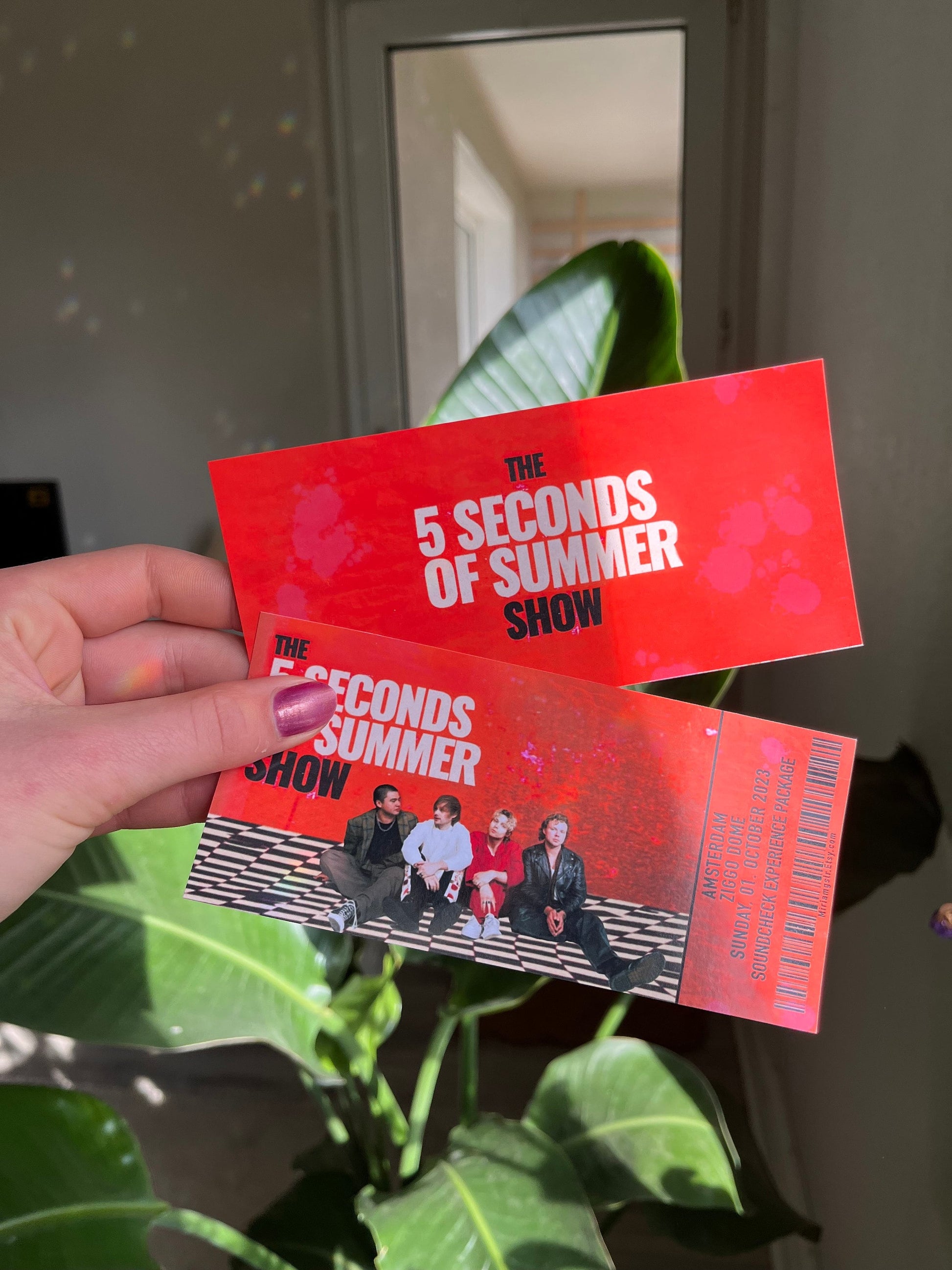 5sos Show Tour 2023 Ticket personalisierbar